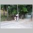 ind018.html