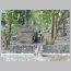 ind020.html