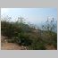ind060.html