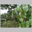 ind003.html