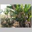 ind015.html