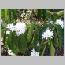 ind046.html