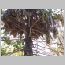 ind026.html