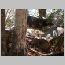 ind028.html