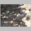 ind045.html