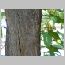 ind053.html